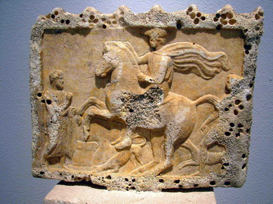 l'' imperatore Decimus Coelius Balbinus ed i suoi fossili...: